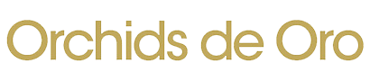 Orchids de Oro